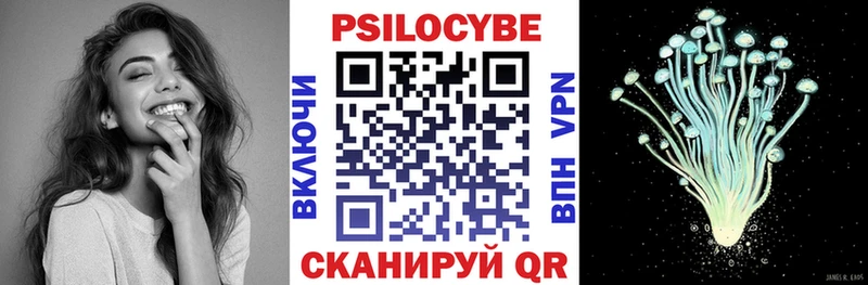 где купить наркоту  Гусь-Хрустальный  Галлюциногенные грибы Psilocybe 
