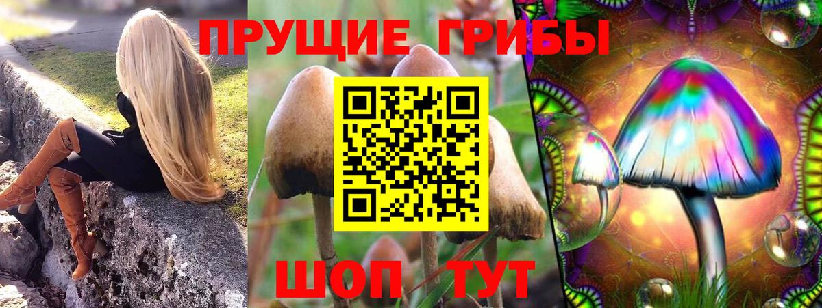 Псилоцибиновые грибы GOLDEN TEACHER Гусь-Хрустальный