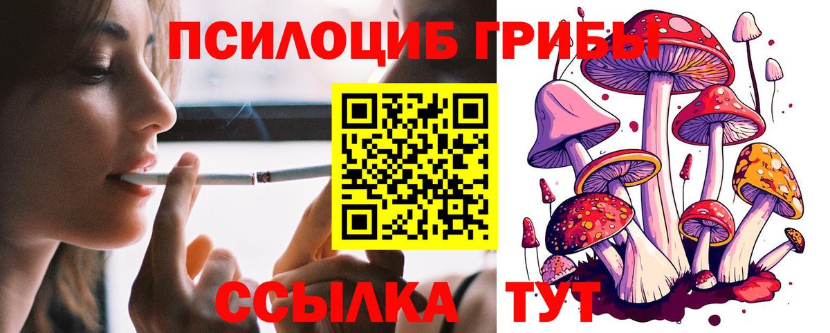Псилоцибиновые грибы Cubensis  что такое   Гусь-Хрустальный  Вход с VPN 